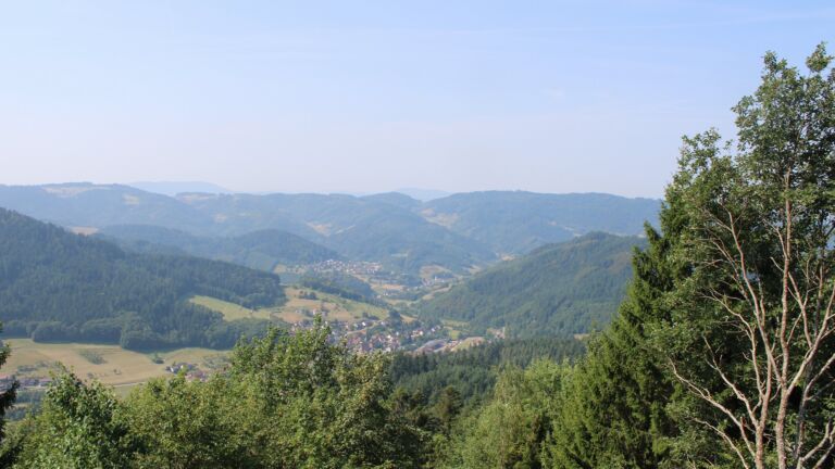 Dieses Bild zeigt eine Webcam-Aufnahme vom Achertal, aufgenommen am Freitag, den 31.07.2026 um 11:10 Uhr. Die Temperatur betrug 28.1°C.