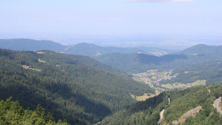 Dieses Bild zeigt eine Webcam-Aufnahme vom Achertal, aufgenommen am Donnerstag, den 10.07.2025 um 11:10 Uhr. Die Temperatur betrug 14.3°C.