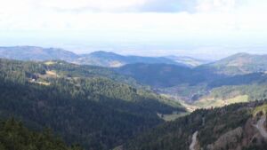 Dieses Bild zeigt eine Webcam-Aufnahme vom Achertal, aufgenommen am Sonntag, den 01.03.2026 um 11:50 Uhr. Die Temperatur betrug 7.1°C.