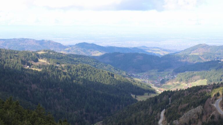 Dieses Bild zeigt eine Webcam-Aufnahme vom Achertal, aufgenommen am Sonntag, den 01.03.2026 um 11:50 Uhr. Die Temperatur betrug 7.1°C.