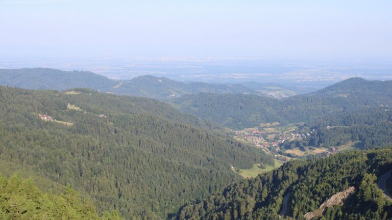 Dieses Bild zeigt eine Webcam-Aufnahme vom Achertal, aufgenommen am Mittwoch, den 18.06.2025 um 07:50 Uhr. Die Temperatur betrug 20.5°C.