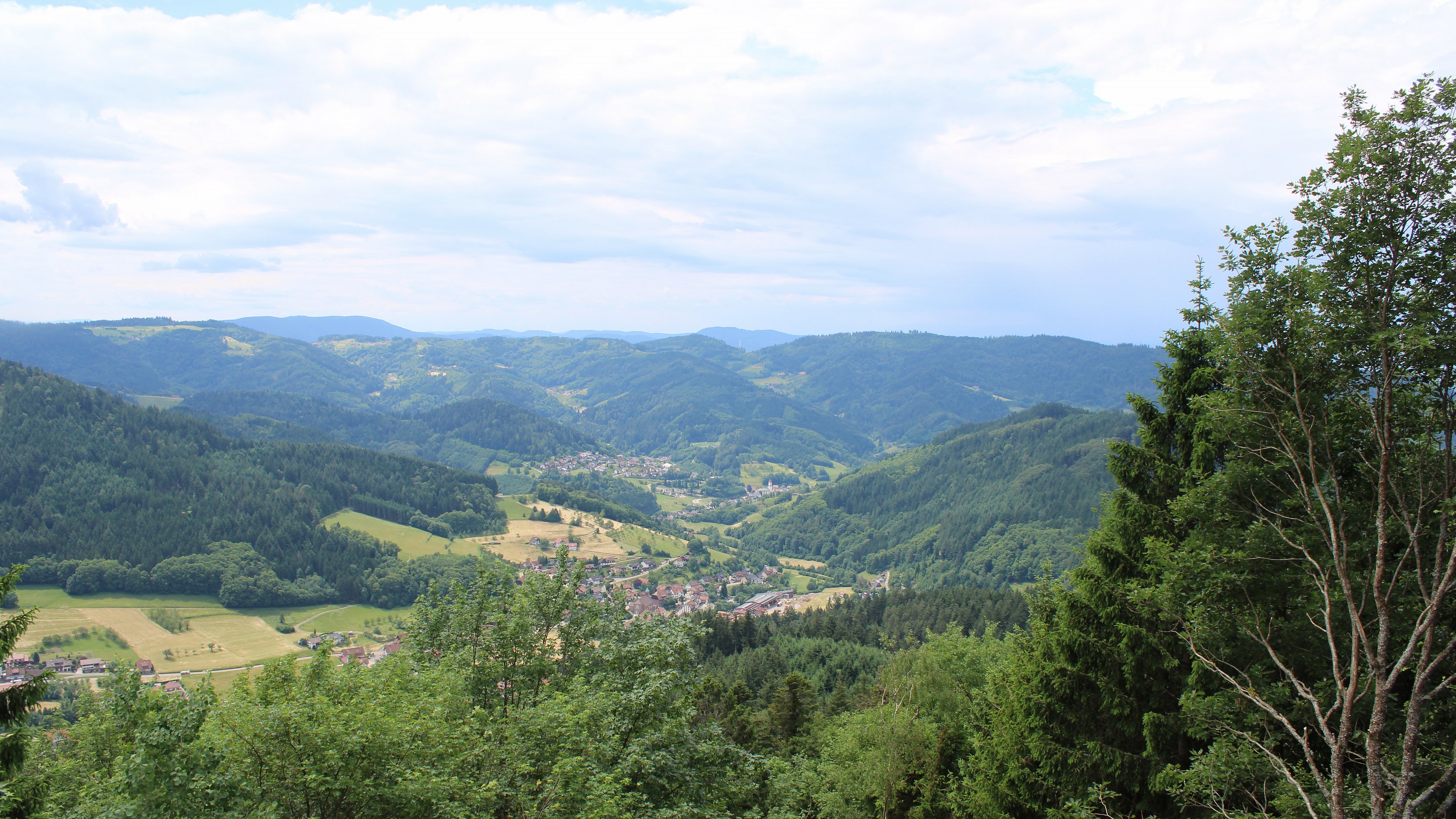 Zum Fotoarchiv vom Dienstag, 2. Juni 2026