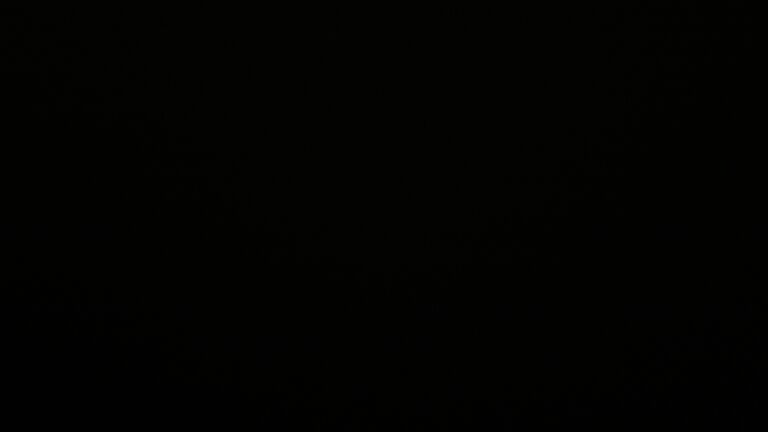 Dieses Bild zeigt eine Webcam-Aufnahme vom Achertal, aufgenommen am Samstag, den 29.11.2025 um 06:00 Uhr. Die Temperatur betrug 3.9°C.