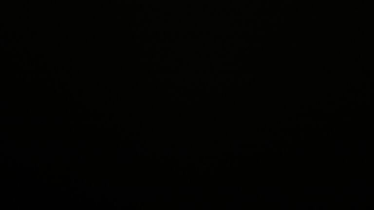 Dieses Bild zeigt eine Webcam-Aufnahme vom Achertal, aufgenommen am Dienstag, den 25.11.2025 um 02:00 Uhr. Die Temperatur betrug 0.3°C.