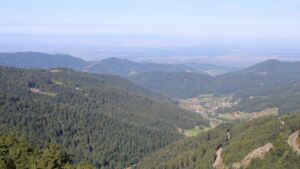 Dieses Bild zeigt eine Webcam-Aufnahme vom Achertal, aufgenommen am Dienstag, den 26.08.2025 um 09:40 Uhr. Die Temperatur betrug 16.8°C.