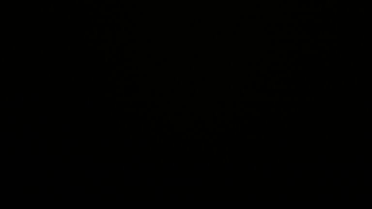Dieses Bild zeigt eine Webcam-Aufnahme vom Achertal, aufgenommen am Dienstag, den 23.09.2025 um 01:30 Uhr. Die Temperatur betrug 4.2°C.