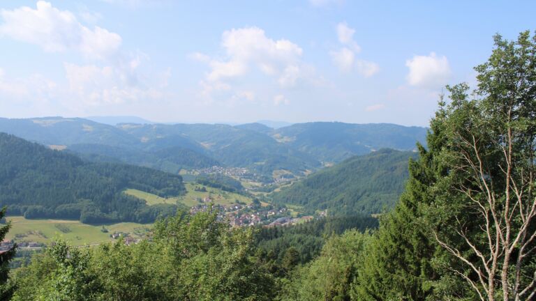 Dieses Bild zeigt eine Webcam-Aufnahme vom Achertal, aufgenommen am Samstag, den 18.07.2026 um 11:20 Uhr. Die Temperatur betrug 21.3°C.