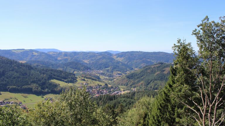 Dieses Bild zeigt eine Webcam-Aufnahme vom Achertal, aufgenommen am Freitag, den 04.09.2026 um 12:30 Uhr. Die Temperatur betrug 25.2°C.