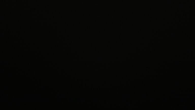 Dieses Bild zeigt eine Webcam-Aufnahme vom Achertal, aufgenommen am Donnerstag, den 05.06.2025 um 00:30 Uhr. Die Temperatur betrug 10.9°C.