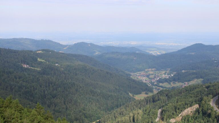 Dieses Bild zeigt eine Webcam-Aufnahme vom Achertal, aufgenommen am Freitag, den 11.07.2025 um 08:40 Uhr. Die Temperatur betrug 16.4°C.
