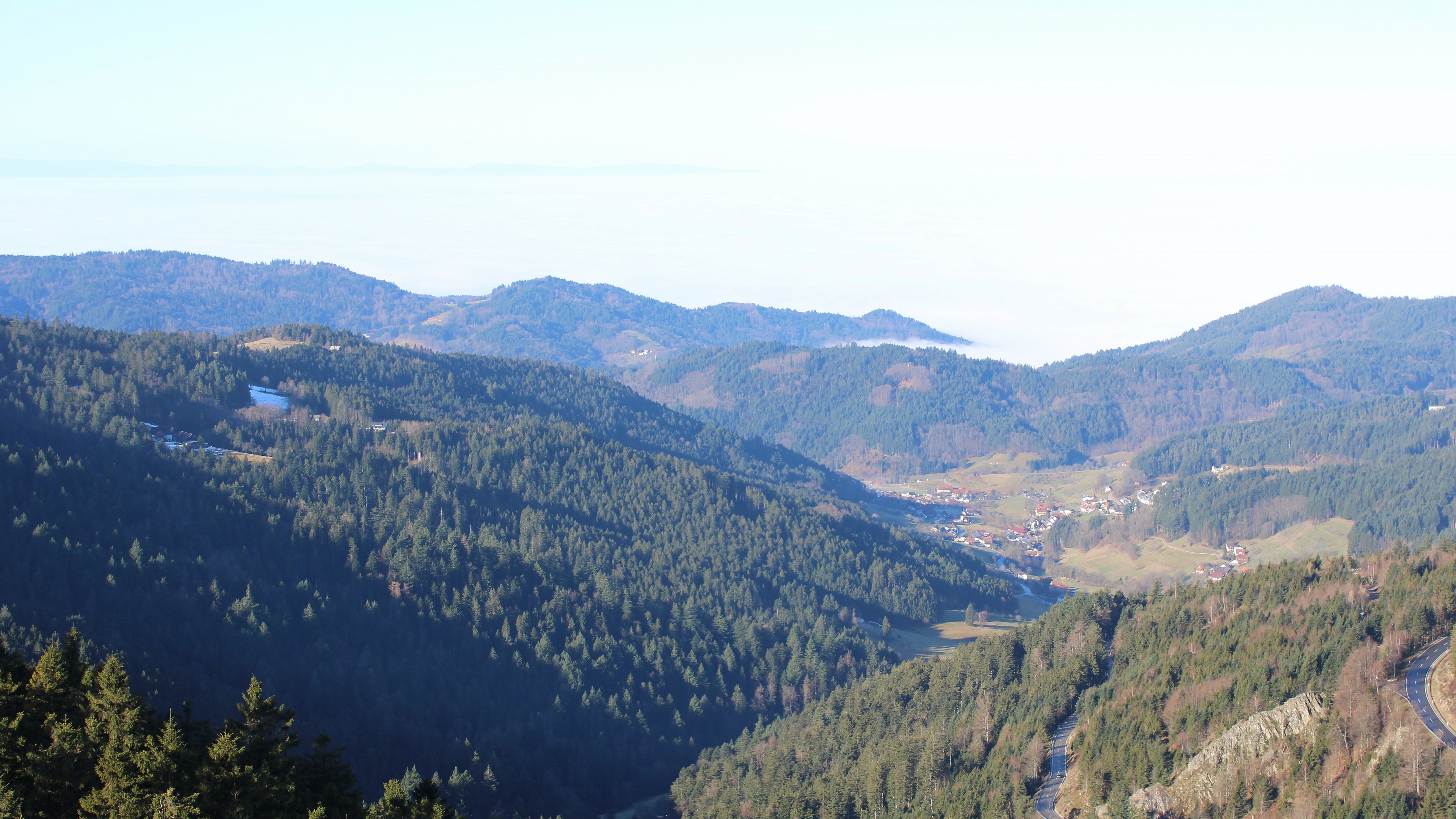 Zum Fotoarchiv vom Sonntag, 8. Februar 2026