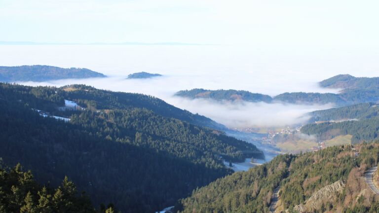 Dieses Bild zeigt eine Webcam-Aufnahme vom Achertal, aufgenommen am Dienstag, den 20.01.2026 um 11:10 Uhr. Die Temperatur betrug 8.2°C.