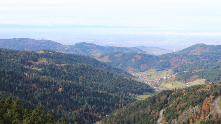 Dieses Bild zeigt eine Webcam-Aufnahme vom Achertal, aufgenommen am Freitag, den 31.10.2025 um 11:30 Uhr. Die Temperatur betrug 10.2°C.