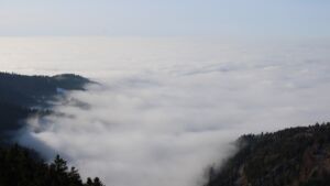 Dieses Bild zeigt eine Webcam-Aufnahme vom Achertal, aufgenommen am Sonntag, den 18.01.2026 um 14:30 Uhr. Die Temperatur betrug 7.9°C.