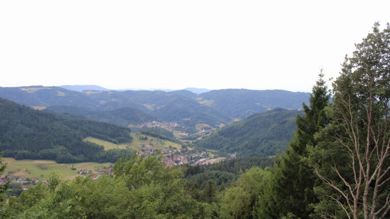 Dieses Bild zeigt eine Webcam-Aufnahme vom Achertal, aufgenommen am Montag, den 13.07.2026 um 14:50 Uhr. Die Temperatur betrug 29.8°C.