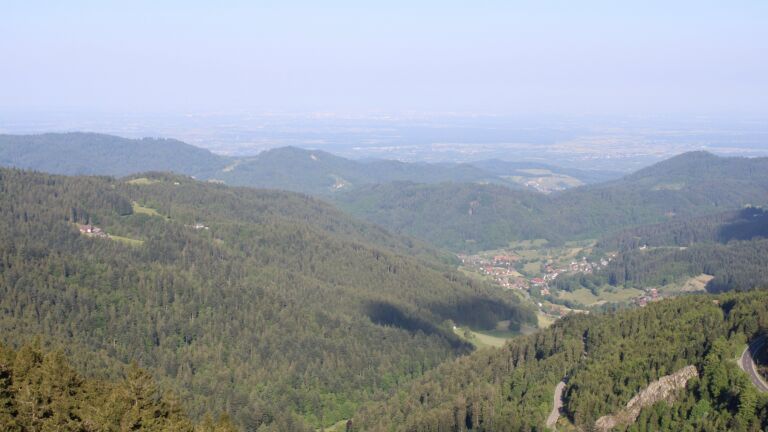 Dieses Bild zeigt eine Webcam-Aufnahme vom Achertal, aufgenommen am Samstag, den 17.05.2025 um 08:40 Uhr. Die Temperatur betrug 11.7°C.