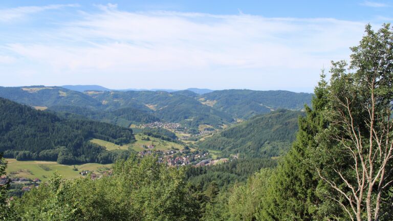 Dieses Bild zeigt eine Webcam-Aufnahme vom Achertal, aufgenommen am Montag, den 13.07.2026 um 10:40 Uhr. Die Temperatur betrug 24.9°C.