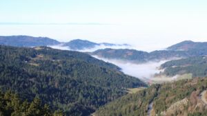 Dieses Bild zeigt eine Webcam-Aufnahme vom Achertal, aufgenommen am Mittwoch, den 25.02.2026 um 10:40 Uhr. Die Temperatur betrug 11.7°C.