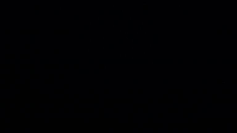 Dieses Bild zeigt eine Webcam-Aufnahme vom Achertal, aufgenommen am Mittwoch, den 16.07.2025 um 23:10 Uhr. Die Temperatur betrug 11°C.