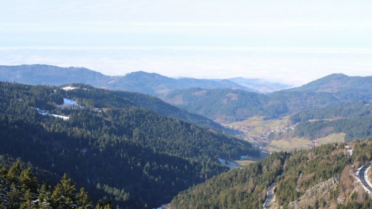 Dieses Bild zeigt eine Webcam-Aufnahme vom Achertal, aufgenommen am Samstag, den 31.01.2026 um 11:50 Uhr. Die Temperatur betrug 5.9°C.