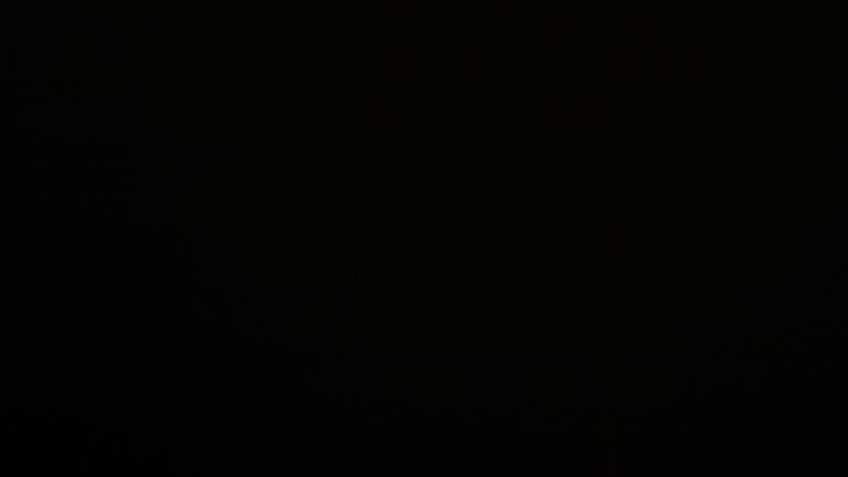 Dieses Bild zeigt eine Webcam-Aufnahme vom Achertal, aufgenommen am Dienstag, den 23.09.2025 um 22:00 Uhr. Die Temperatur betrug 6.1°C.