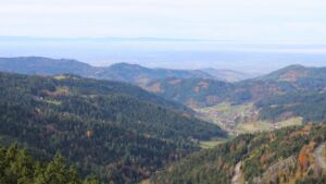 Dieses Bild zeigt eine Webcam-Aufnahme vom Achertal, aufgenommen am Freitag, den 31.10.2025 um 11:40 Uhr. Die Temperatur betrug 10.8°C.