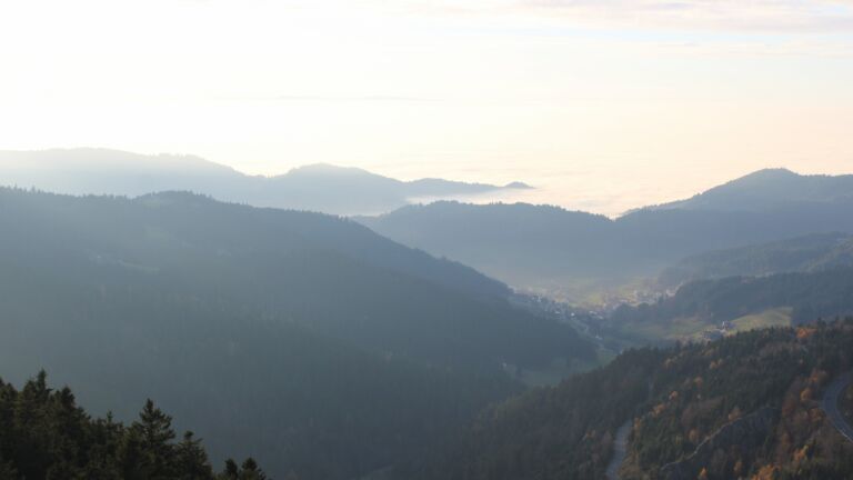 Dieses Bild zeigt eine Webcam-Aufnahme vom Achertal, aufgenommen am Samstag, den 08.11.2025 um 16:00 Uhr. Die Temperatur betrug 11.4°C.