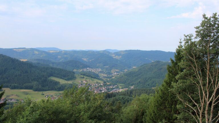 Dieses Bild zeigt eine Webcam-Aufnahme vom Achertal, aufgenommen am Donnerstag, den 16.07.2026 um 08:20 Uhr. Die Temperatur betrug 22.2°C.