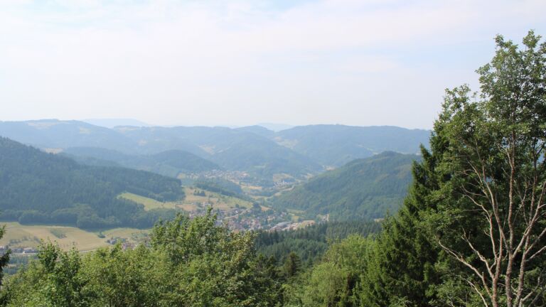 Dieses Bild zeigt eine Webcam-Aufnahme vom Achertal, aufgenommen am Freitag, den 31.07.2026 um 12:50 Uhr. Die Temperatur betrug 30.6°C.