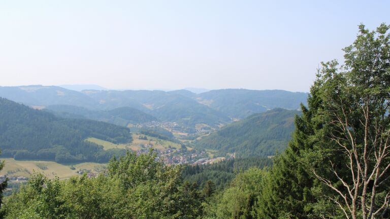 Dieses Bild zeigt eine Webcam-Aufnahme vom Achertal, aufgenommen am Donnerstag, den 30.07.2026 um 12:20 Uhr. Die Temperatur betrug 34.8°C.
