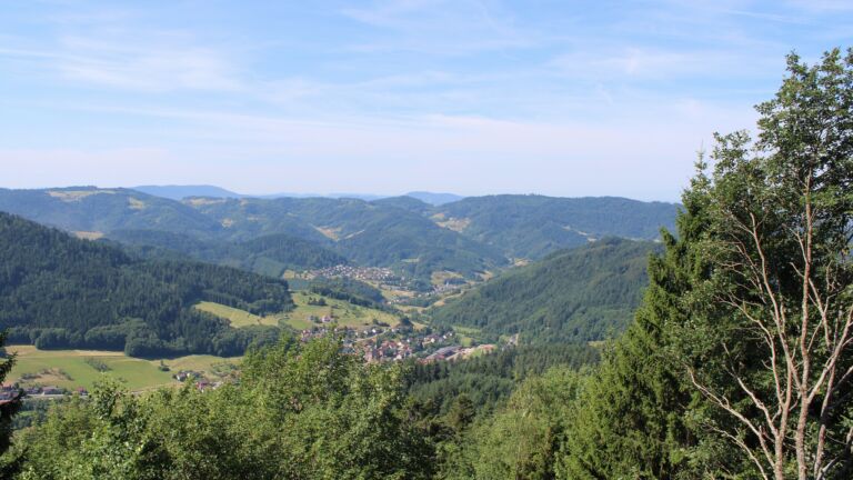 Dieses Bild zeigt eine Webcam-Aufnahme vom Achertal, aufgenommen am Samstag, den 11.07.2026 um 11:00 Uhr. Die Temperatur betrug 26.8°C.