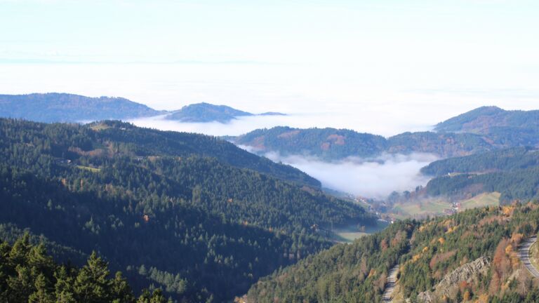 Dieses Bild zeigt eine Webcam-Aufnahme vom Achertal, aufgenommen am Samstag, den 08.11.2025 um 11:30 Uhr. Die Temperatur betrug 10.4°C.