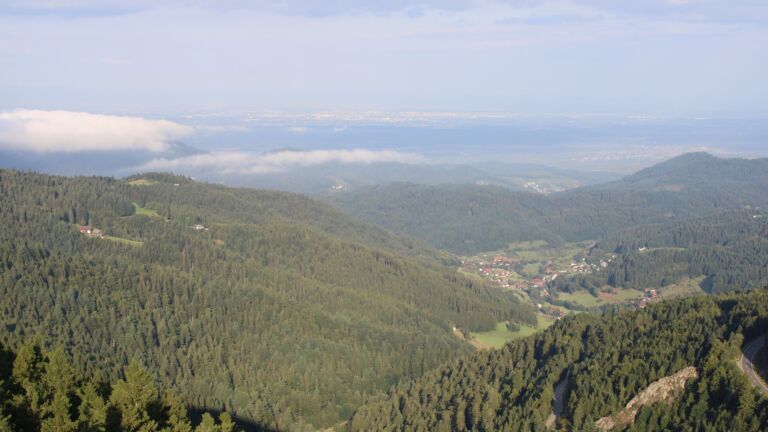 Dieses Bild zeigt eine Webcam-Aufnahme vom Achertal, aufgenommen am Freitag, den 22.08.2025 um 08:20 Uhr. Die Temperatur betrug 11.1°C.