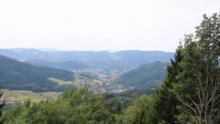 Dieses Bild zeigt eine Webcam-Aufnahme vom Achertal, aufgenommen am Mittwoch, den 15.07.2026 um 14:00 Uhr. Die Temperatur betrug 25.3°C.