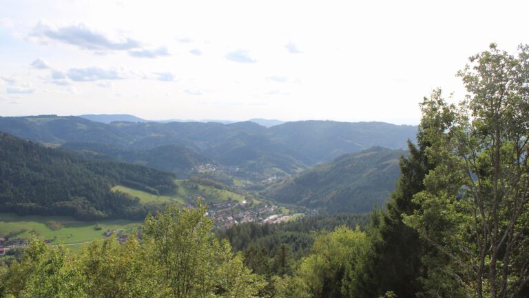 Dieses Bild zeigt eine Webcam-Aufnahme vom Achertal, aufgenommen am Donnerstag, den 17.09.2026 um 16:50 Uhr. Die Temperatur betrug 19.4°C.