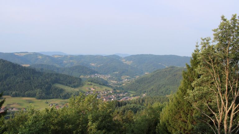 Dieses Bild zeigt eine Webcam-Aufnahme vom Achertal, aufgenommen am Mittwoch, den 15.07.2026 um 07:40 Uhr. Die Temperatur betrug 23.2°C.