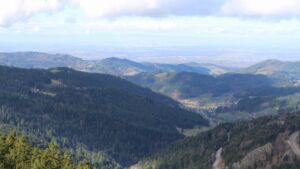 Dieses Bild zeigt eine Webcam-Aufnahme vom Achertal, aufgenommen am Sonntag, den 01.03.2026 um 11:30 Uhr. Die Temperatur betrug 8.9°C.