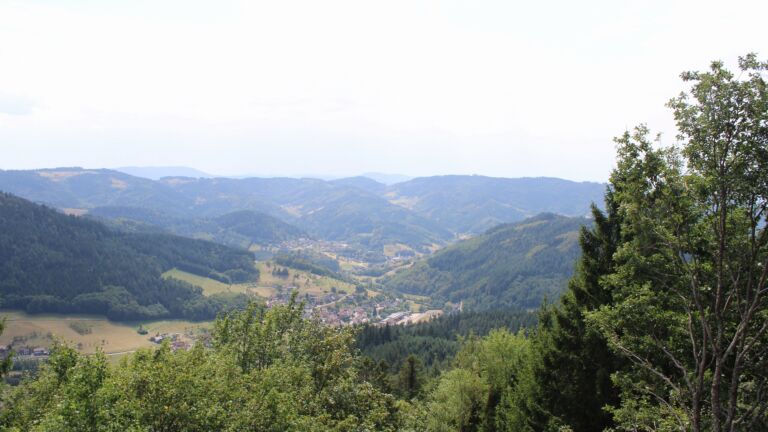 Dieses Bild zeigt eine Webcam-Aufnahme vom Achertal, aufgenommen am Montag, den 10.08.2026 um 14:50 Uhr. Die Temperatur betrug 32.8°C.