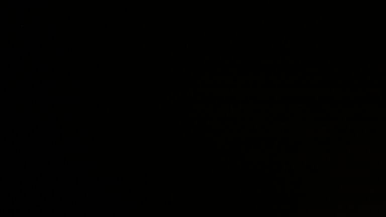 Dieses Bild zeigt eine Webcam-Aufnahme vom Achertal, aufgenommen am Mittwoch, den 11.02.2026 um 02:00 Uhr. Die Temperatur betrug 4.1°C.