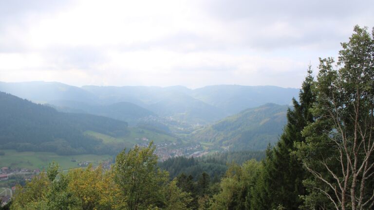 Dieses Bild zeigt eine Webcam-Aufnahme vom Achertal, aufgenommen am Montag, den 19.10.2026 um 13:10 Uhr. Die Temperatur betrug 11.7°C.