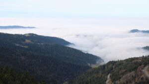 Dieses Bild zeigt eine Webcam-Aufnahme vom Achertal, aufgenommen am Montag, den 22.12.2025 um 11:50 Uhr. Die Temperatur betrug 7.6°C.