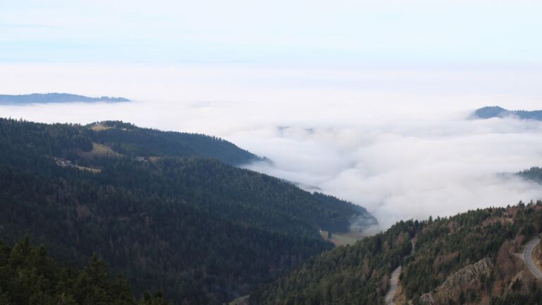 Dieses Bild zeigt eine Webcam-Aufnahme vom Achertal, aufgenommen am Montag, den 22.12.2025 um 11:50 Uhr. Die Temperatur betrug 7.6°C.