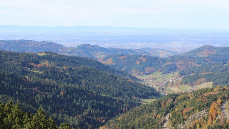 Dieses Bild zeigt eine Webcam-Aufnahme vom Achertal, aufgenommen am Mittwoch, den 29.10.2025 um 11:40 Uhr. Die Temperatur betrug 11.7°C.