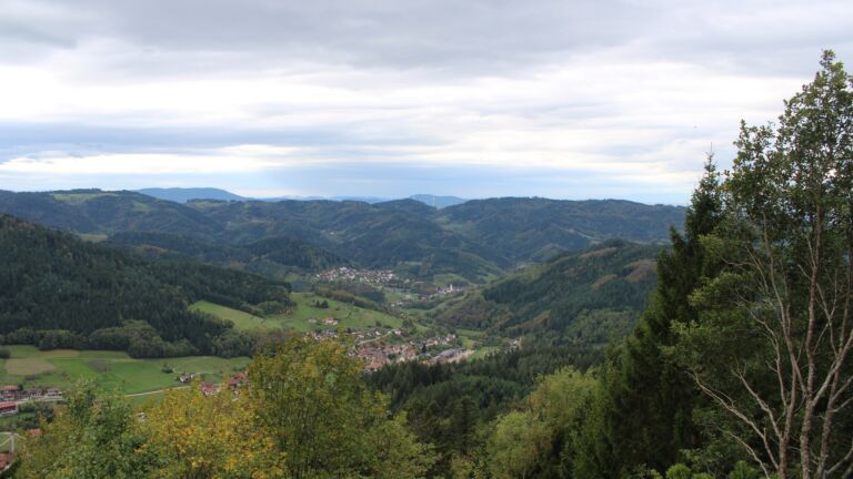 Dieses Bild zeigt eine Webcam-Aufnahme vom Achertal, aufgenommen am Freitag, den 23.10.2026 um 11:40 Uhr. Die Temperatur betrug 10.7°C.