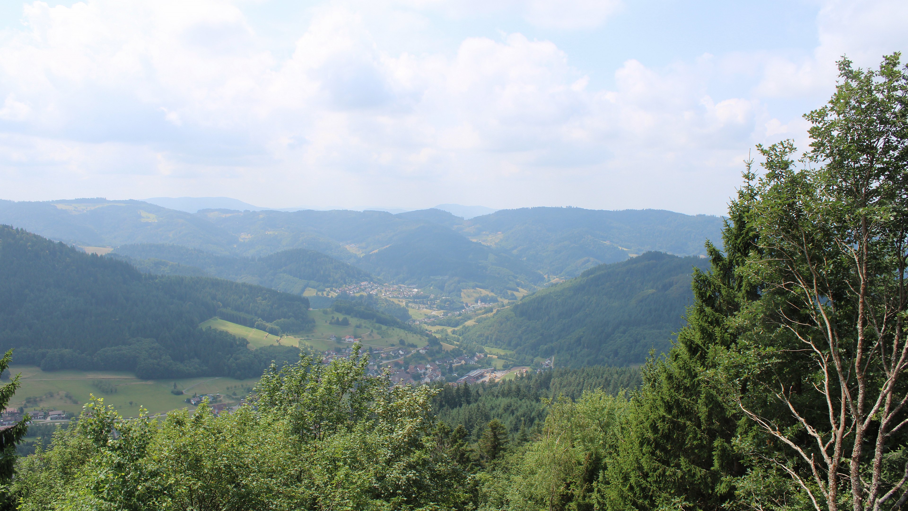 Zum Fotoarchiv vom Sonntag, 19. Juli 2026