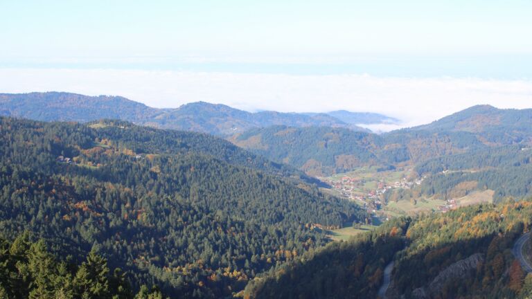 Dieses Bild zeigt eine Webcam-Aufnahme vom Achertal, aufgenommen am Donnerstag, den 16.10.2025 um 10:50 Uhr. Die Temperatur betrug 8.2°C.