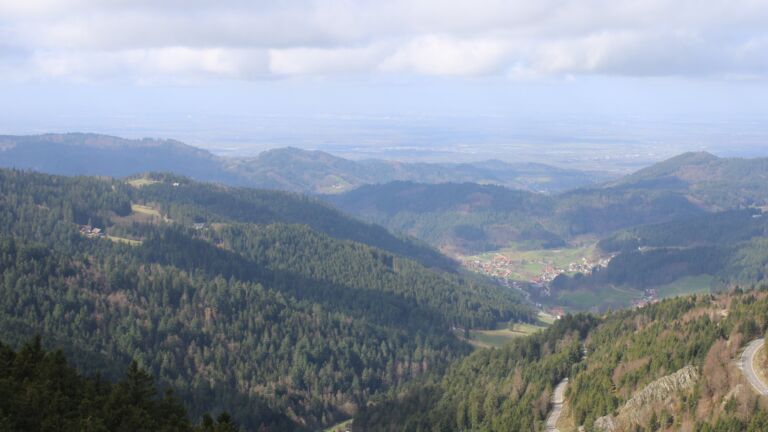 Dieses Bild zeigt eine Webcam-Aufnahme vom Achertal, aufgenommen am Donnerstag, den 12.03.2026 um 11:20 Uhr. Die Temperatur betrug 2.9°C.