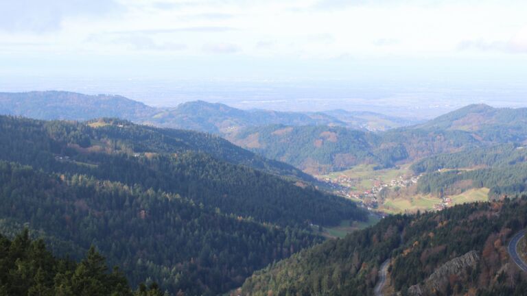 Dieses Bild zeigt eine Webcam-Aufnahme vom Achertal, aufgenommen am Dienstag, den 11.11.2025 um 11:00 Uhr. Die Temperatur betrug 6.6°C.