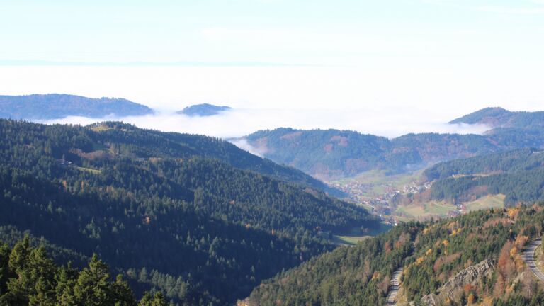 Dieses Bild zeigt eine Webcam-Aufnahme vom Achertal, aufgenommen am Freitag, den 07.11.2025 um 12:00 Uhr. Die Temperatur betrug 11.3°C.