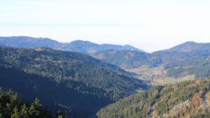 Dieses Bild zeigt eine Webcam-Aufnahme vom Achertal, aufgenommen am Montag, den 10.11.2025 um 10:40 Uhr. Die Temperatur betrug 6°C.